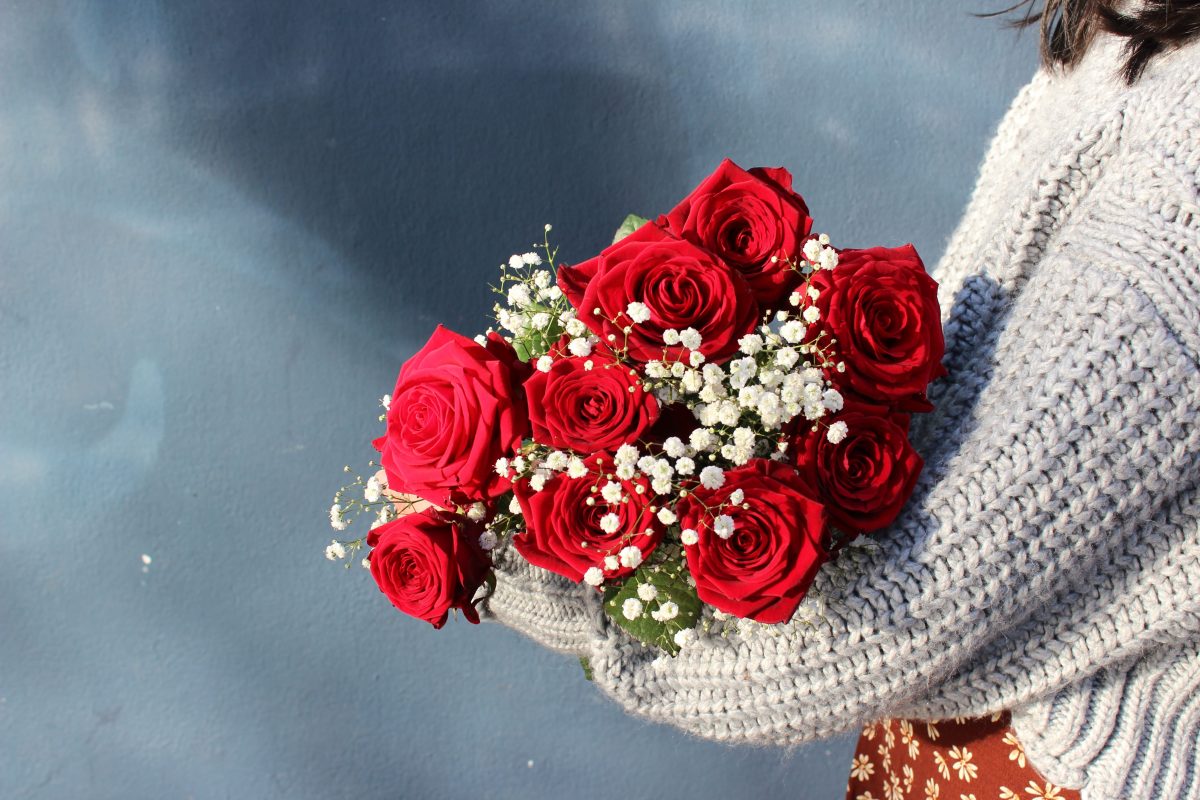 roses rouge gypso