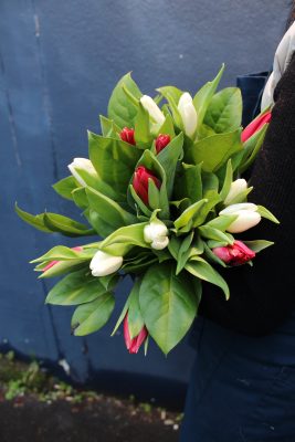 tulipes-saison-saint-valentin