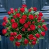 Brassée de 50 Roses Rouges
