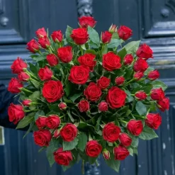 Brassée de 50 Roses Rouges
