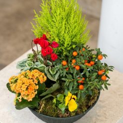 coupe de plantes de deuil livraison funérarium crématorium ou retrait boutique Monceau Fleurs Nantes
