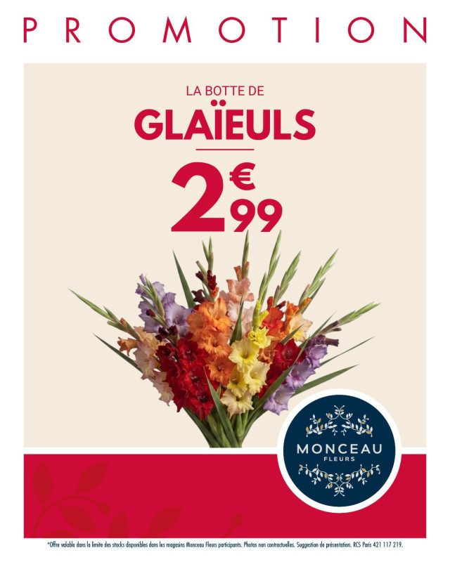 offre promotion botte glaïeuls